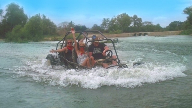 Wild treks buggies